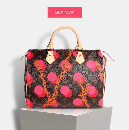 Discount LV Speedy Ramages Replica
